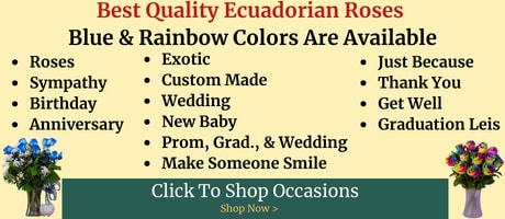Modesto Exotic Flowers, Inc.